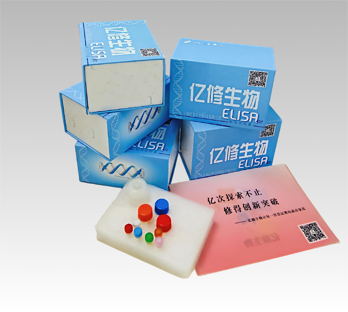 ABUIABAEGAAg5vTfxQYolI6S7AMw9Ag4gAg